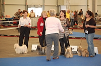 DSC_4943.jpg