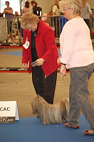 DSC_4955.jpg