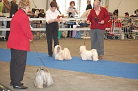 DSC_4973.jpg