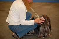 DSC_4980.jpg
