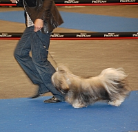 DSC_4995.jpg