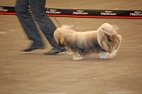 DSC_4998.jpg