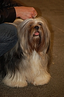 DSC_5008.jpg