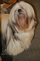 DSC_5012.jpg