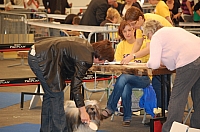 DSC_5026.jpg