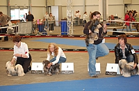 DSC_5035.jpg