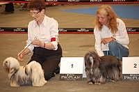 DSC_5036.jpg