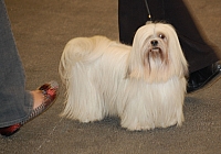 DSC_5051.jpg