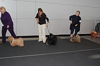 DSC_5913.jpg DSC_5913.jpg