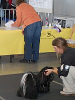 DSC_5917.jpg DSC_5917.jpg