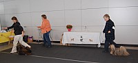 DSC_5927.jpg DSC_5927.jpg