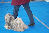 DSC_5954.jpg DSC_5954.jpg
