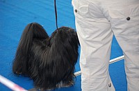 DSC_5955.jpg DSC_5955.jpg