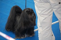 DSC_5956.jpg DSC_5956.jpg
