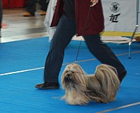 DSC_5961.jpg DSC_5961.jpg