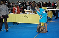 DSC_5963.jpg DSC_5963.jpg