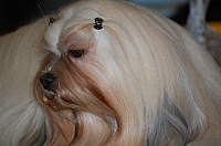 DSC_2799.jpg