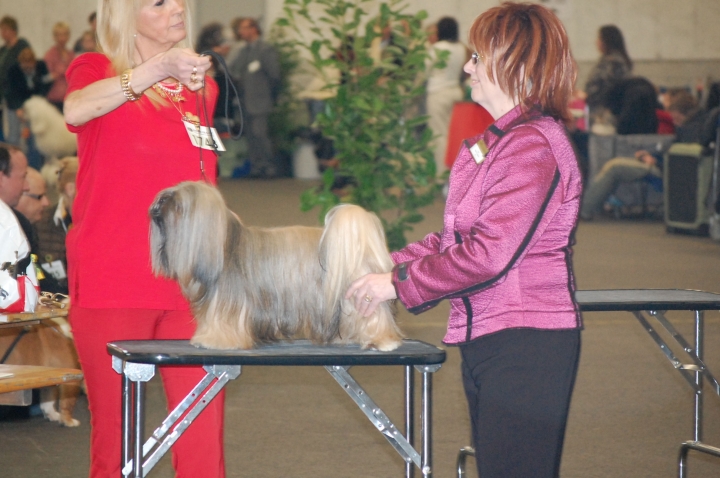 DSC_3150.jpg