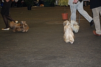 DSC_3172.jpg