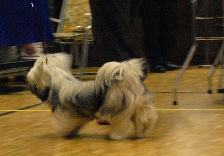 DSC_1467.jpg