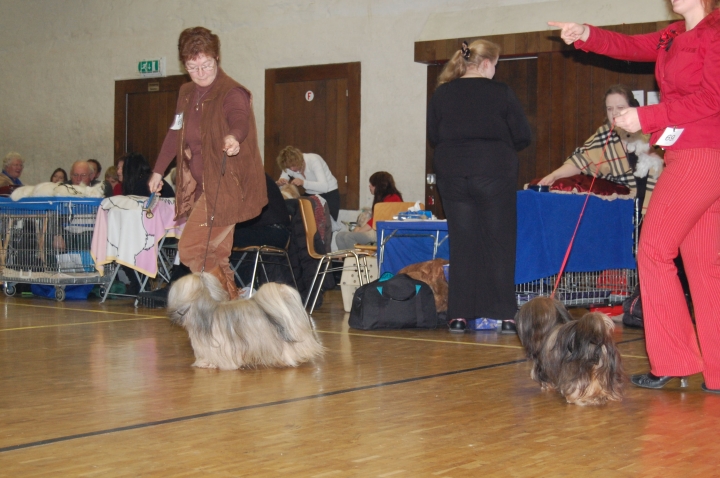 DSC_1509.jpg