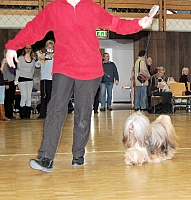 DSC_1492.jpg