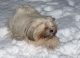 PICT_05.JPG