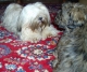 PICT_12.JPG