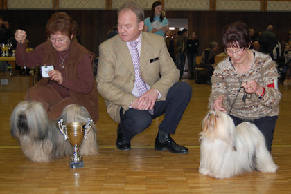 Yuvan - Clubshow Wangen - BOB Lhasa Apso